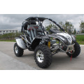 650cc 600ccm 4 X 4 CF Motor CVT Getriebe Strandbuggy